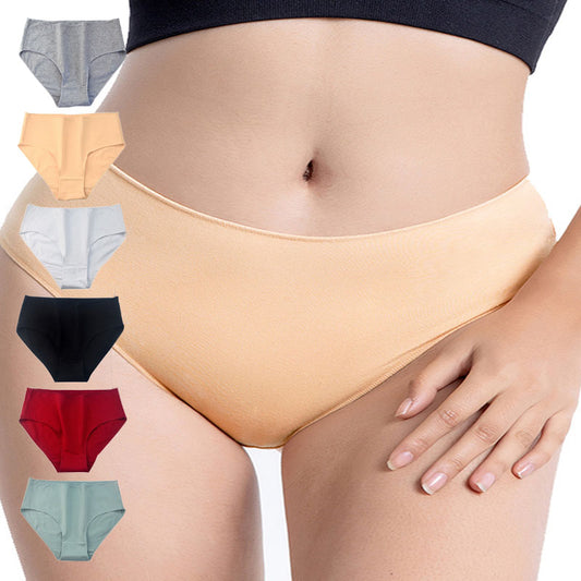 Plusock Plus Size Full Coverage Hipster Panty(6 Packs)