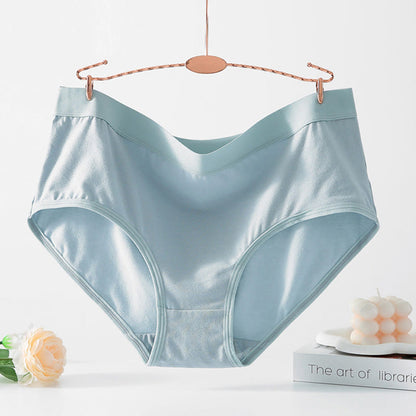 Plusock Simple High Waisted Strentch Panty(4 Packs) - image 8