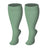 Light Green / 2XL