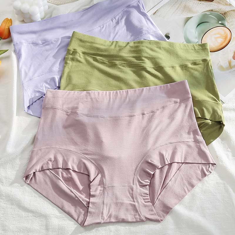 Plus Size High Waist Soft Panty(3 Packs)