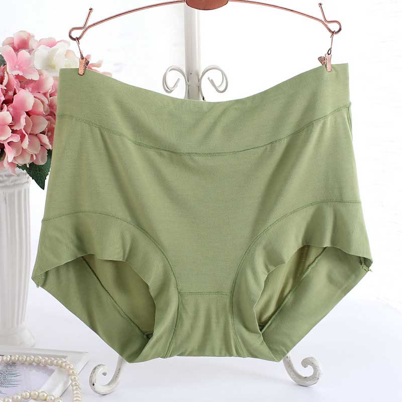 Plus Size High Waist Soft Panty(3 Packs)