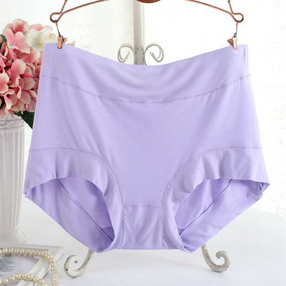Plus Size High Waist Soft Panty(3 Packs)