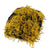 Yellow / One Size