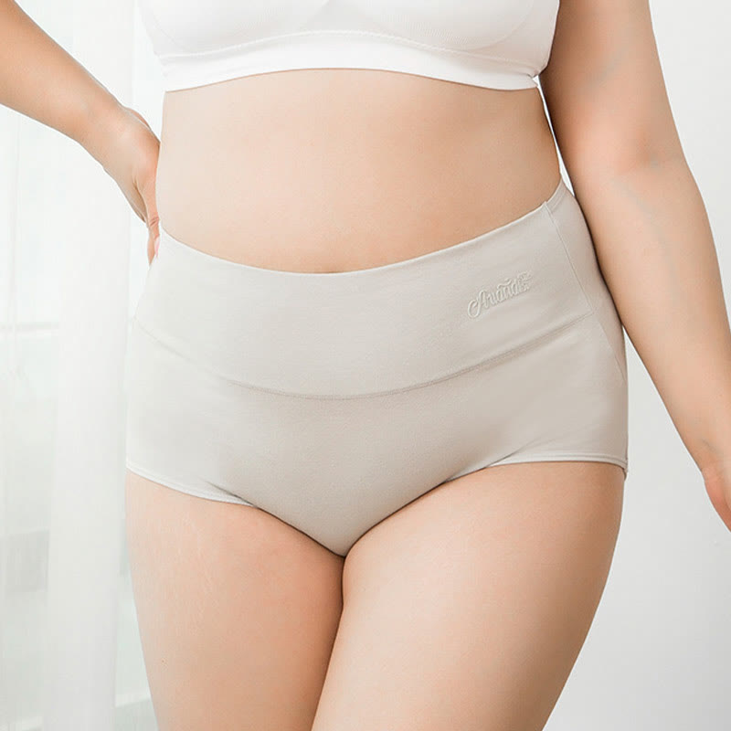 Plus Size High Waist Stretchy Panty(4 Packs) - image 4