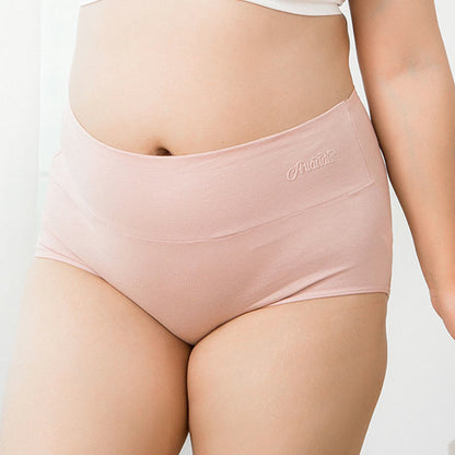 Plus Size High Waist Stretchy Panty(4 Packs) - image 3