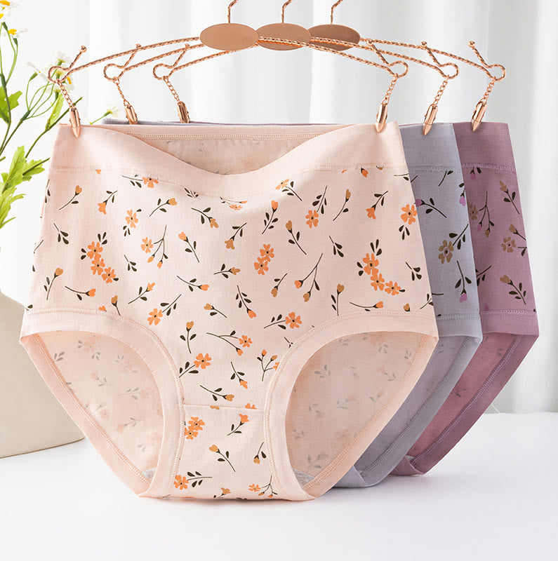 Plus Size High Waist Cotton Floral Panty(2 Packs)