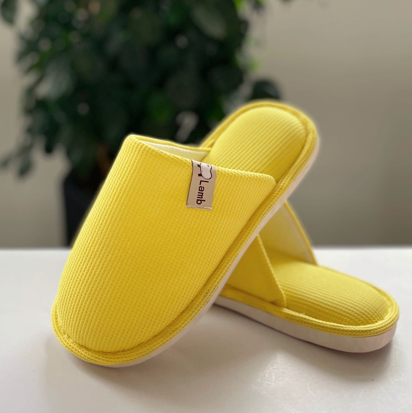 Solid Color Simple Waffle Home Slippers