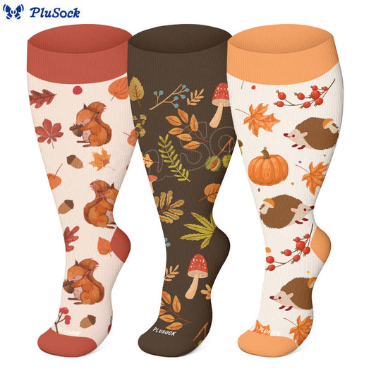 Plus Size Autumn Hedgehog Compression Socks(3 Pairs) - image 0