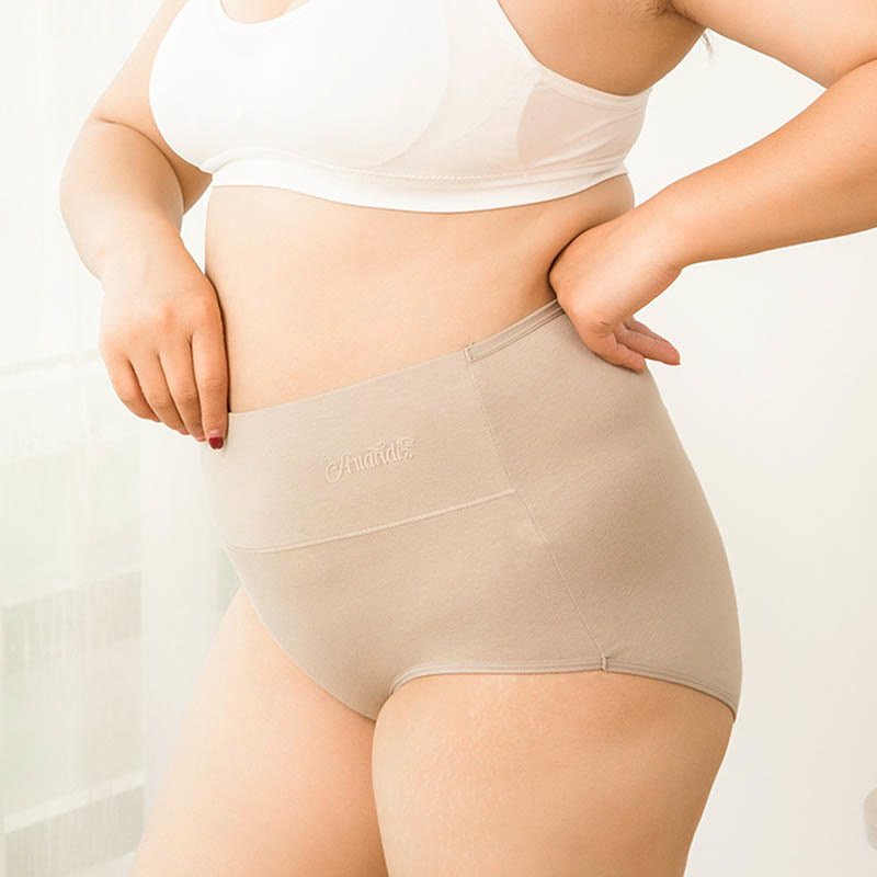 Plus Size High Waist Stretchy Panty(4 Packs) - image 6