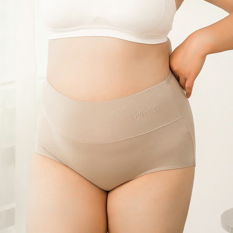 Plus Size High Waist Stretchy Panty(4 Packs) - image 5
