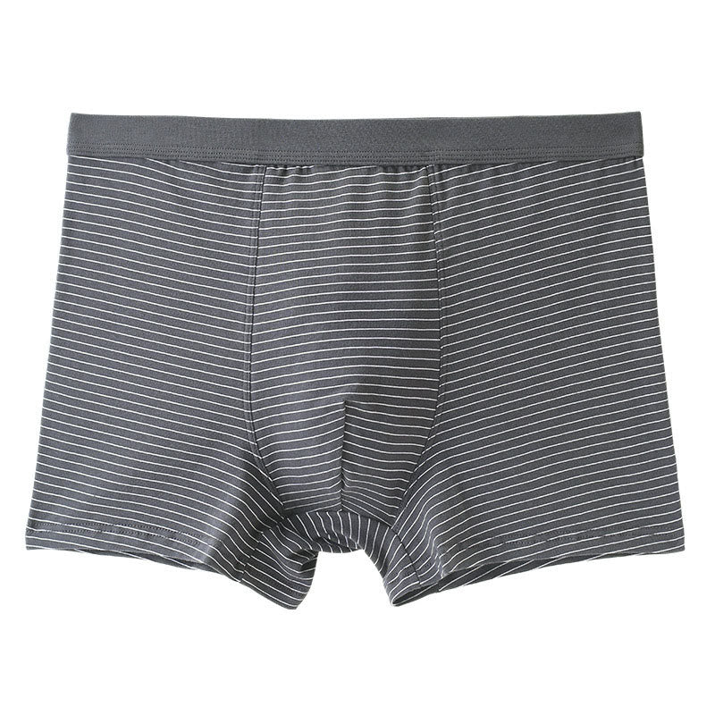 Plusock Cotton Stripe Boxer Briefs - Grey - 9XL - image 1