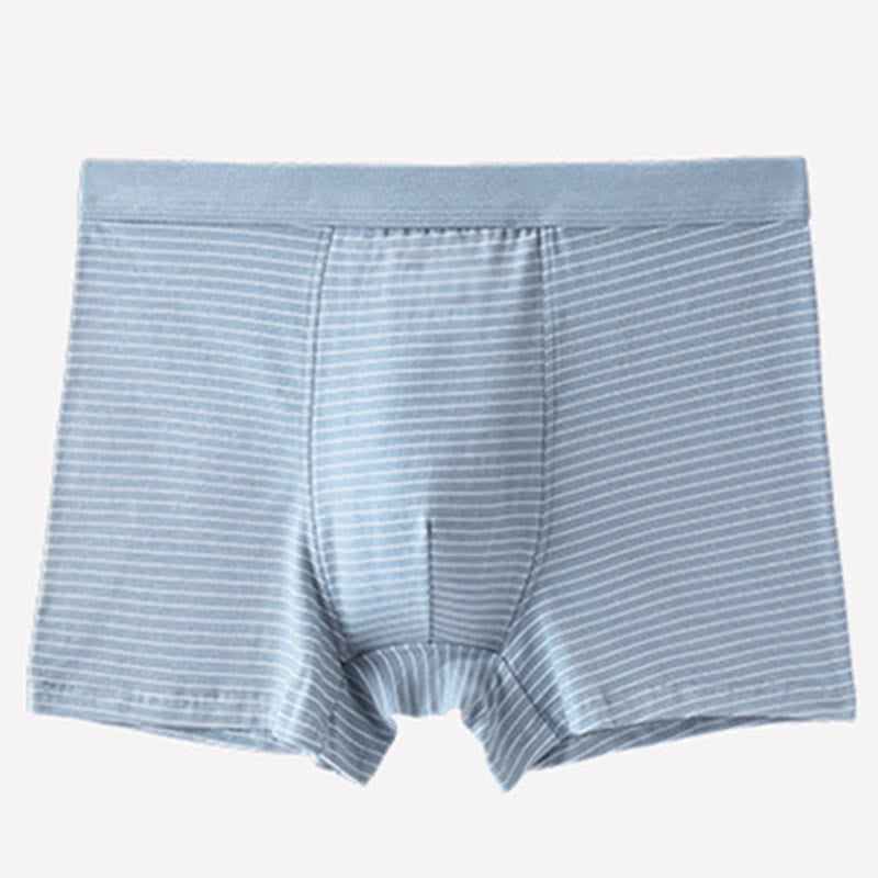 Plusock Cotton Stripe Boxer Briefs - Light Blue - 9XL - image 5