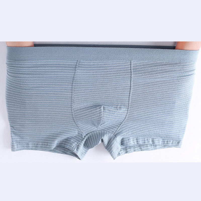 Plusock Cotton Stripe Boxer Briefs - image 8