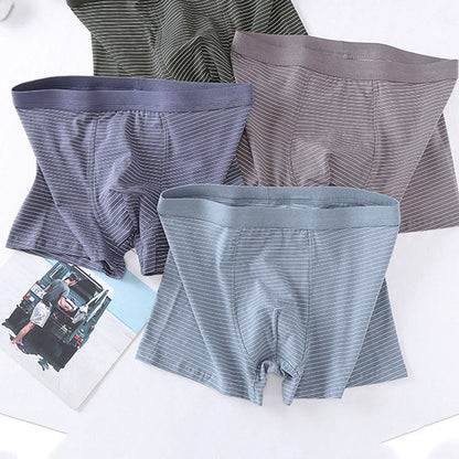 Plusock Cotton Stripe Boxer Briefs - image 0