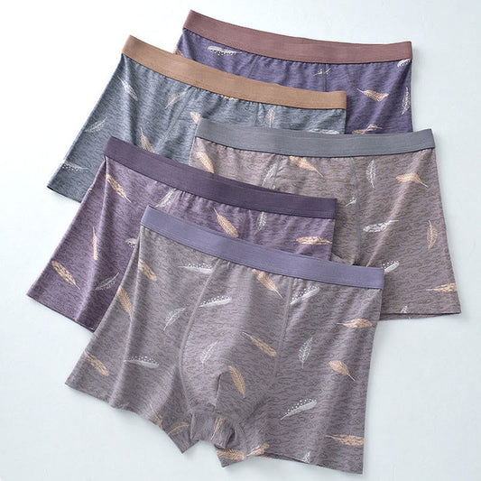 Plusock Cotton Feather Boxer Briefs - image 0