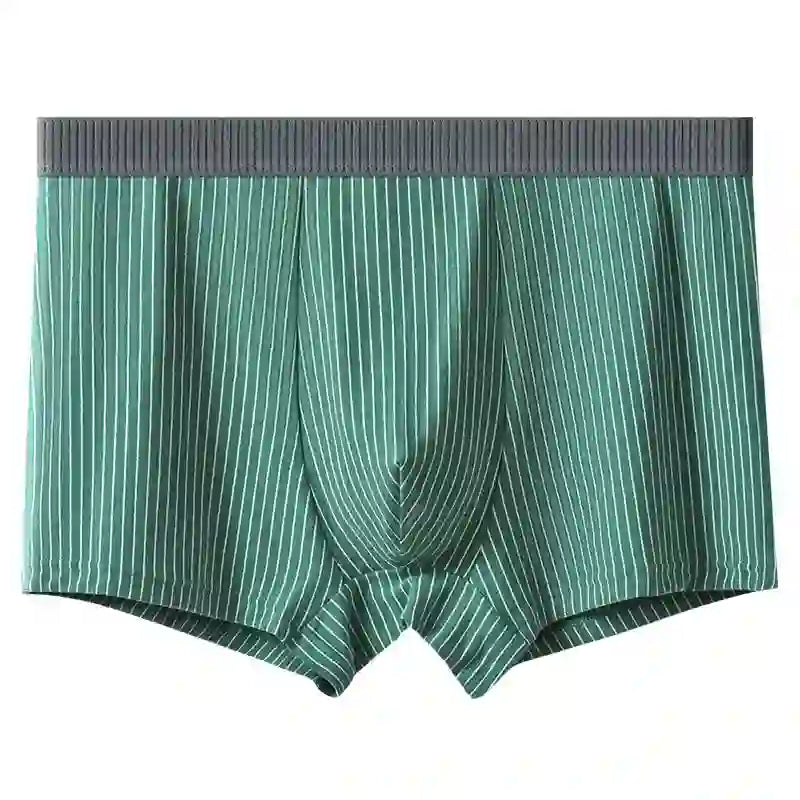 Plusock Classic Stripes Boxer Briefs - Green - 10XL - image 5