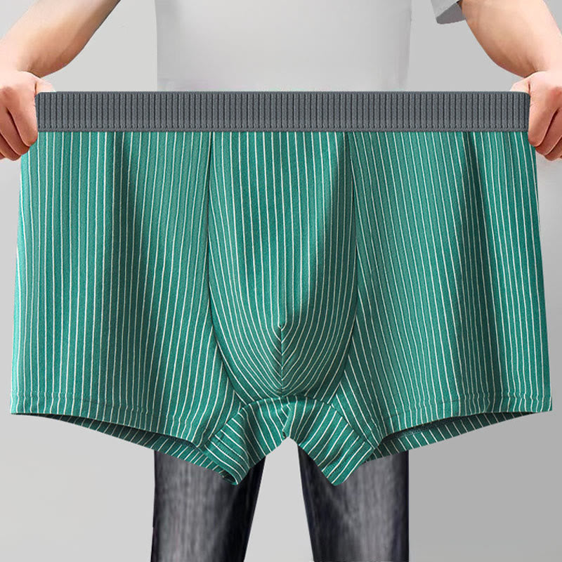 Plusock Classic Stripes Boxer Briefs - image 0