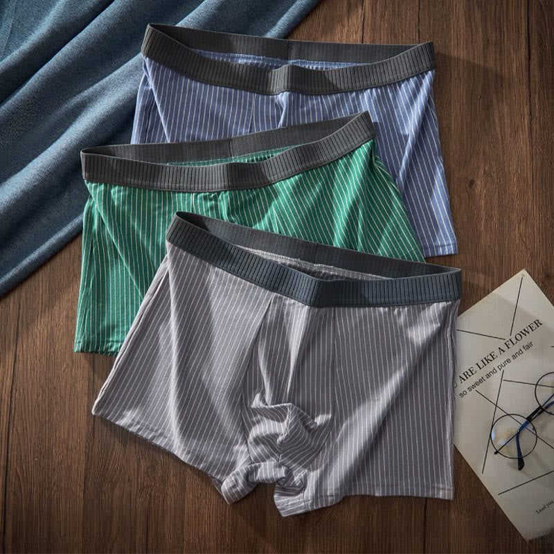 Plusock Classic Stripes Boxer Briefs - image 2