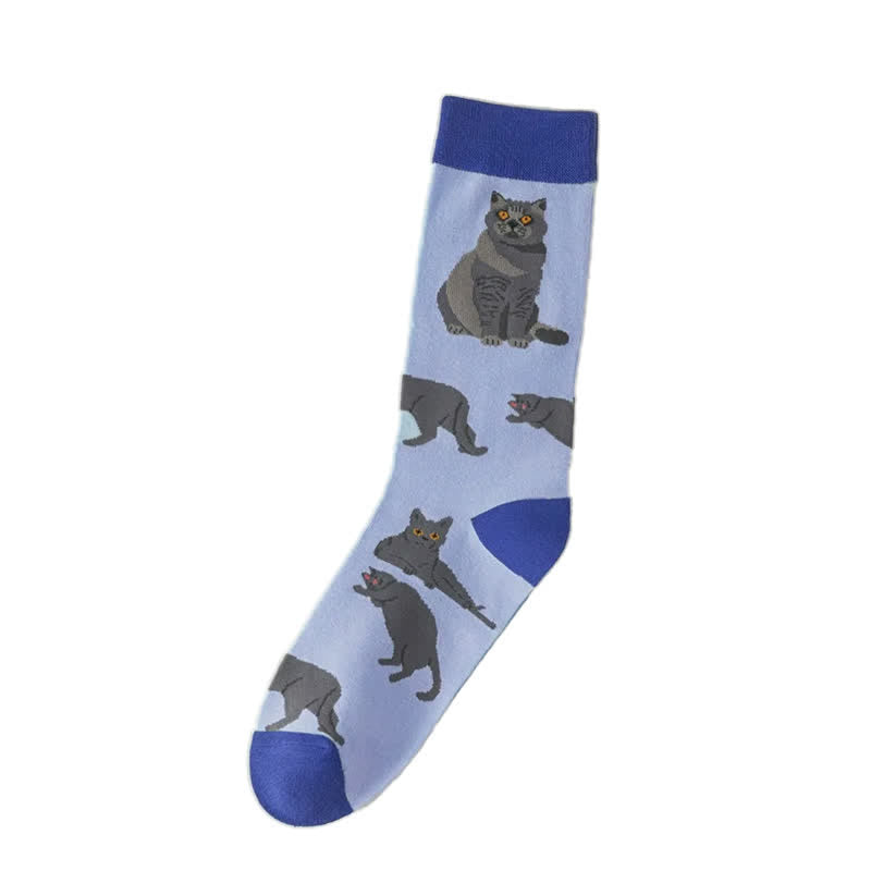 Plusock Cute Cat Quarter Socks(5 Pairs) - image 4