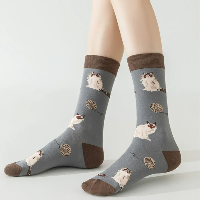 Plusock Cute Cat Quarter Socks(5 Pairs) - image 1