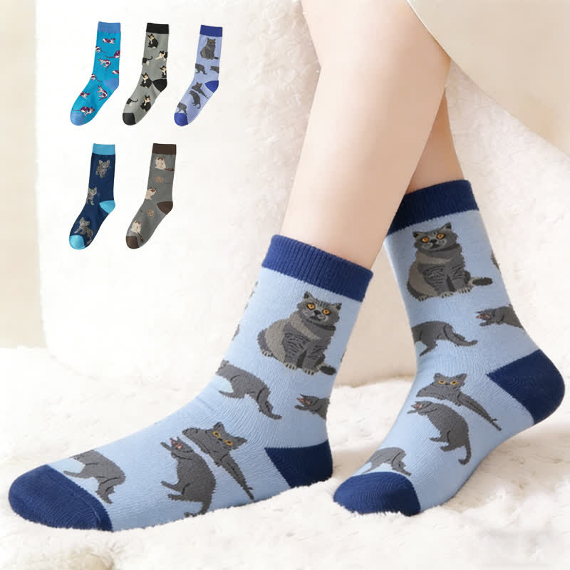 Plusock Cute Cat Quarter Socks(5 Pairs) - Multicolor - EU37-46(US4-12) - image 0