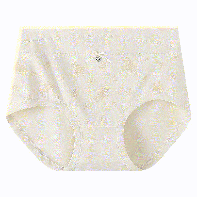 Plusock Floral Cotton High Rise Panty(2 Packs) - Apricot - XXXL - image 5