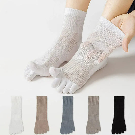Plusock Breathable Cotton Alignment Socks(5 Pairs) - Multicolor - EU39-45(US6-11) - image 0