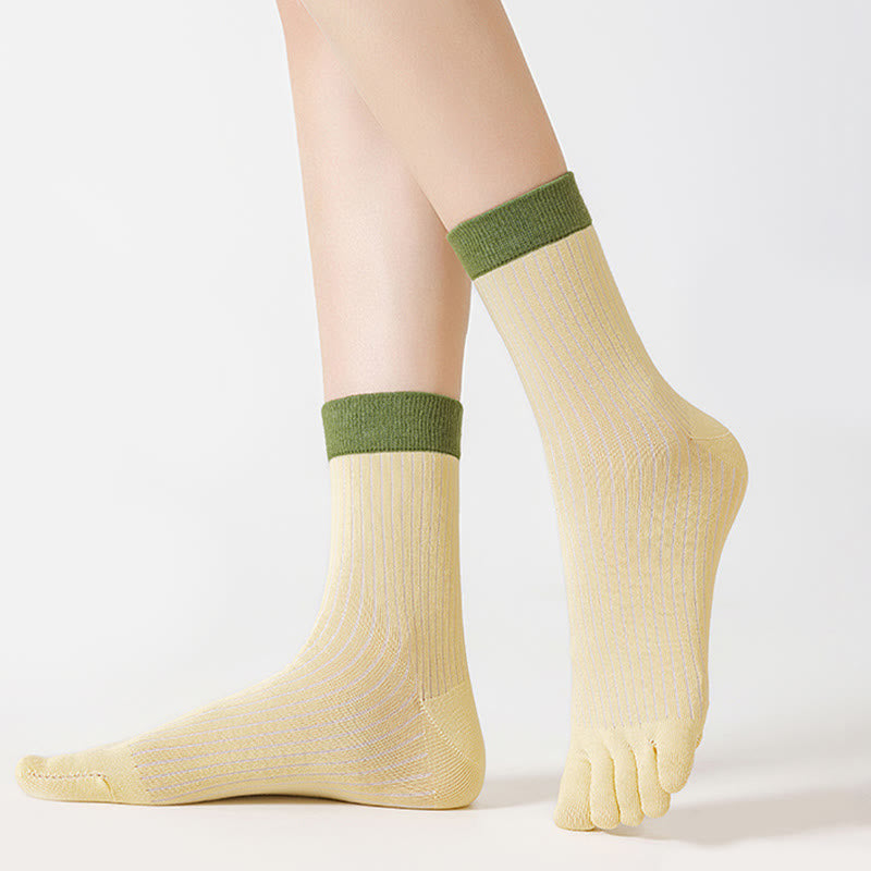 Plusock Casual Colorblock Alignment Socks(3 Pairs) - image 3