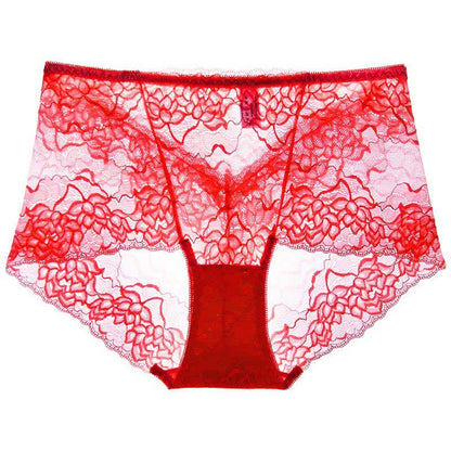 Plusock Floral Lace Low Rise Panty(3 Packs) - Red - 2XL - image 3
