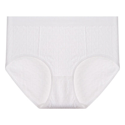 Plusock Breathable Textured High Rise Panty(4 Packs) - D - 5XL - image 5