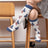 Blue(1 Pair) / 2XL