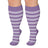 Purple / 2XL