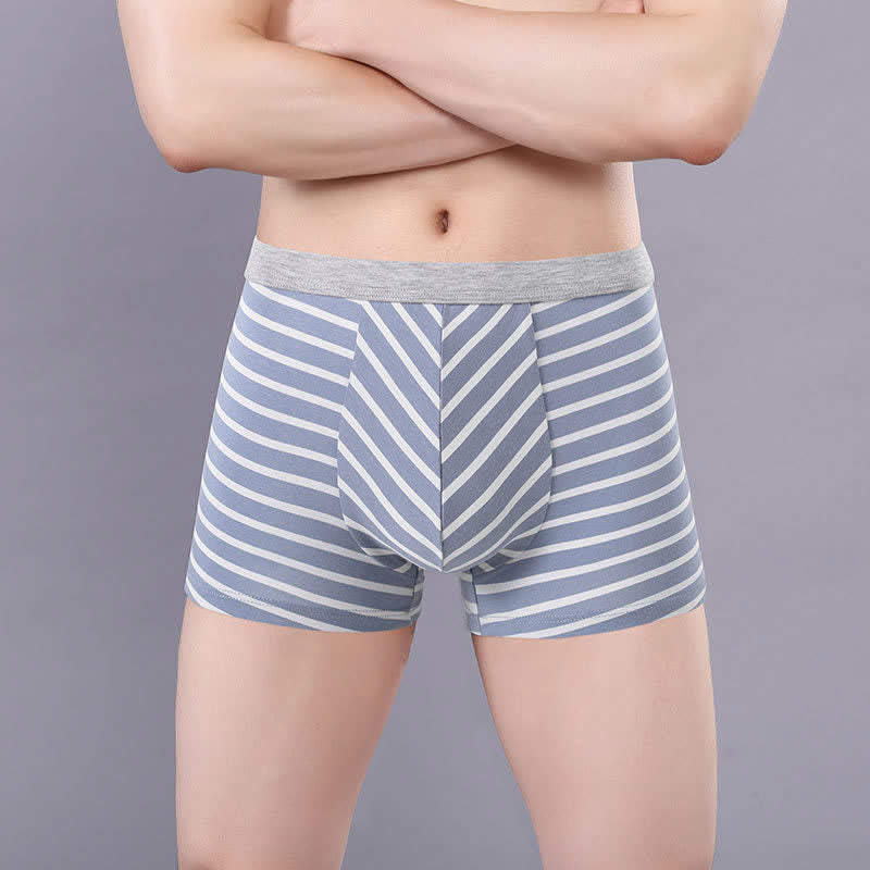 Plusock Plus Size Striped Cotton Boxer Briefs - Blue - 7XL - image 1