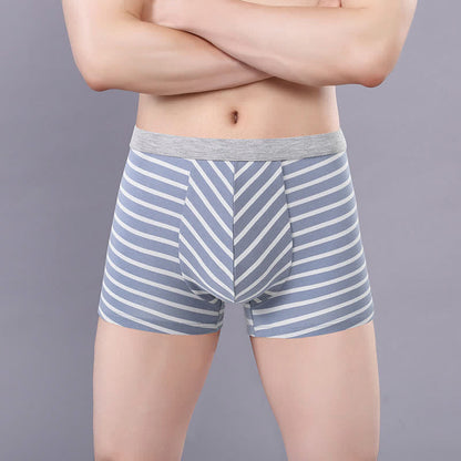 Plusock Plus Size Striped Cotton Boxer Briefs - Blue - 7XL - image 1
