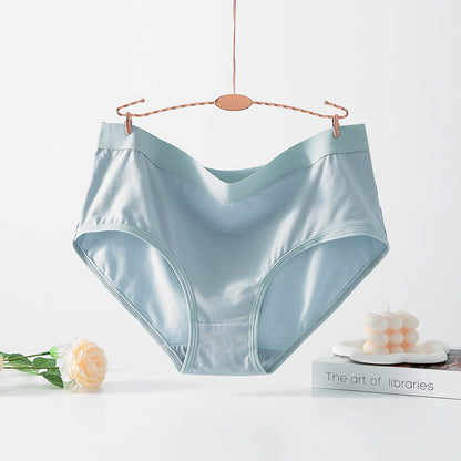 Plusock Simple High Waisted Strentch Panty(4 Packs) - Light Blue - 6XL - image 6