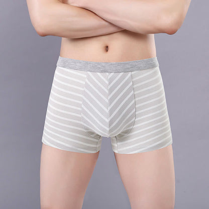 Plusock Plus Size Striped Cotton Boxer Briefs - Grey - 7XL - image 3