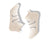 White / EU35-39(US 5-8)