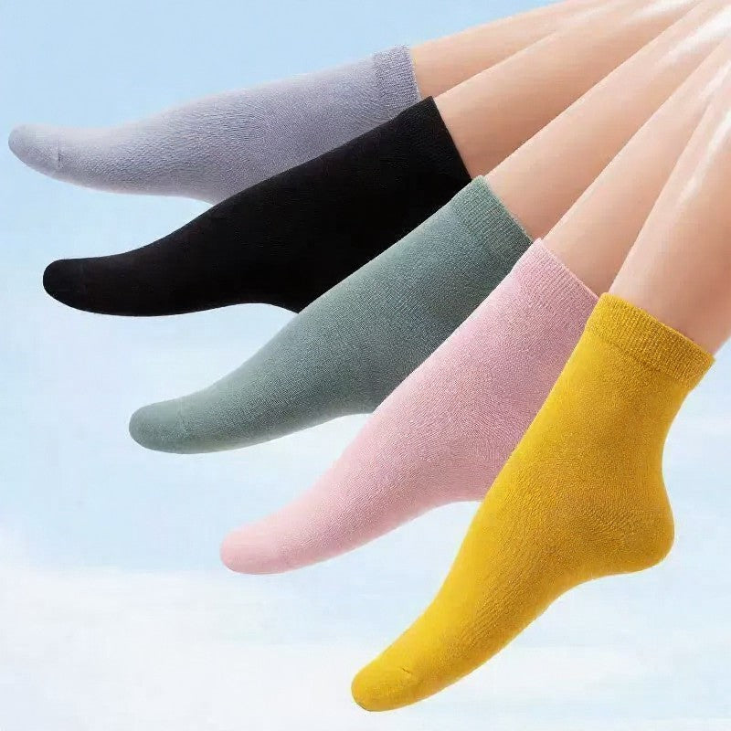 Plusock Cute Bear Embroidered Cotton Quarter  Socks(5 Pairs) - image 5